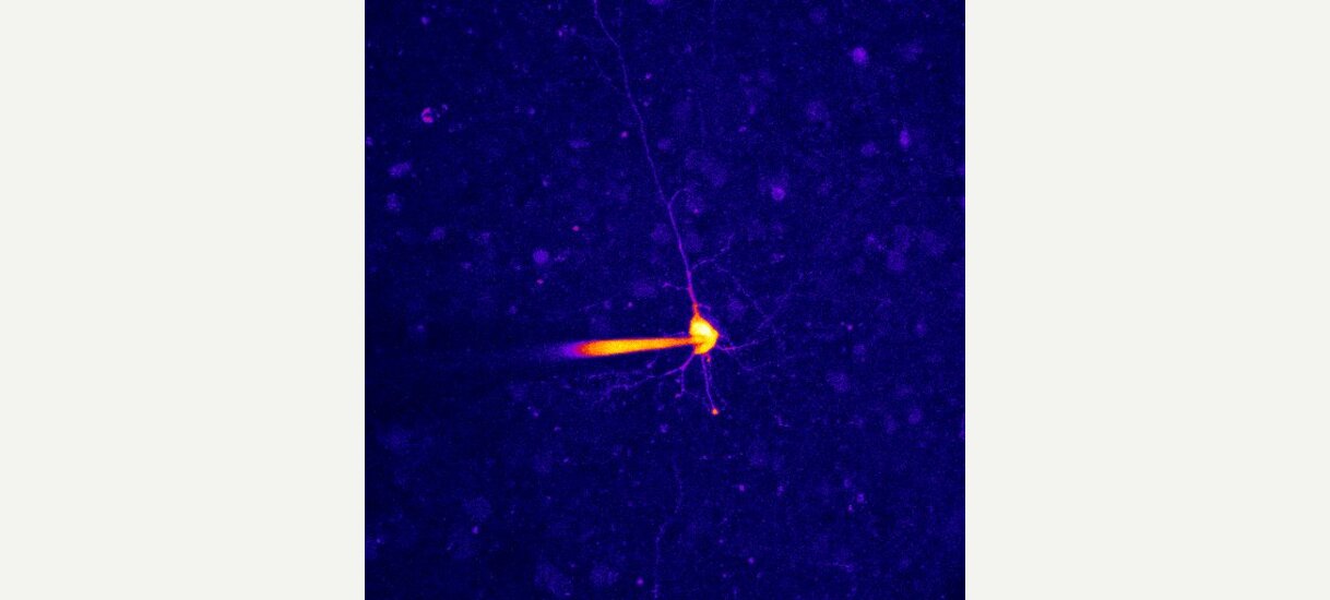 A fiery cell