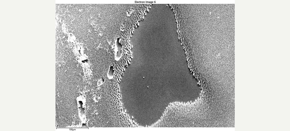 Not quite a lake and a forest